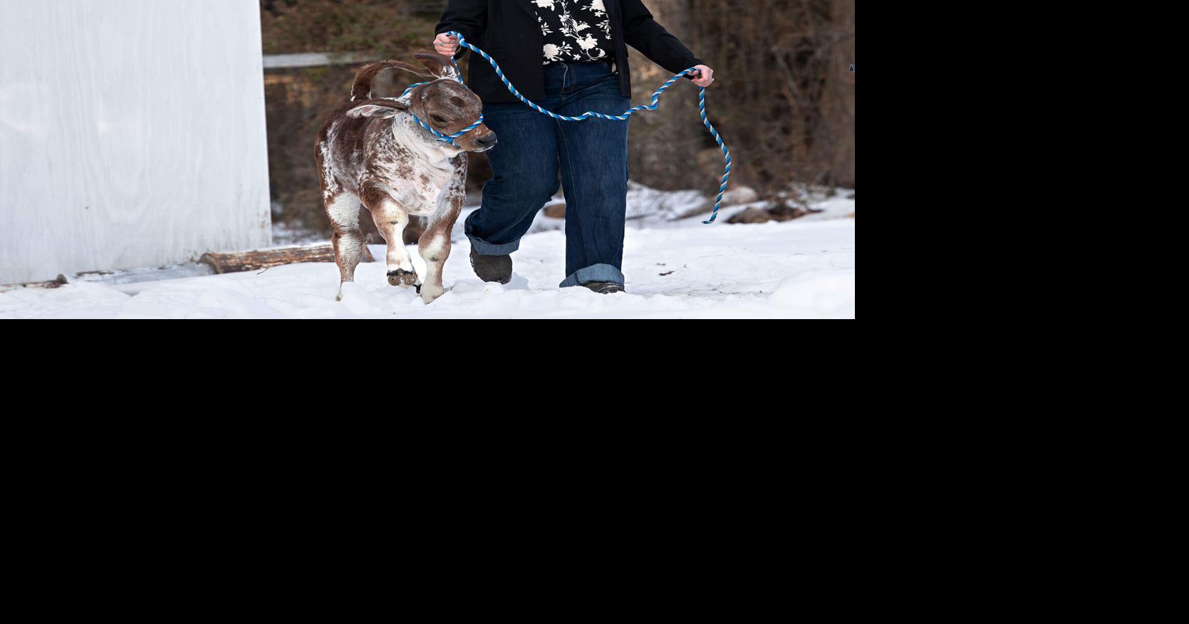 New Extension agent brings lived experience, enthusiasm to post