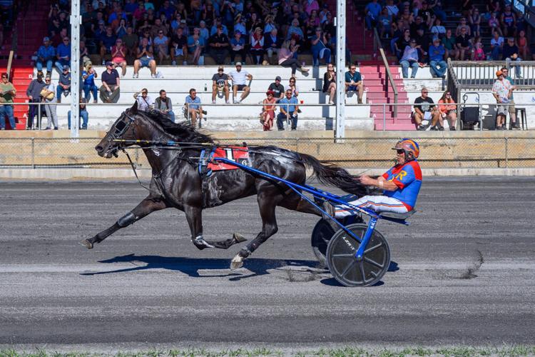 View from the gate: Harness racing returns Saturday at Shenandoah Downs ...