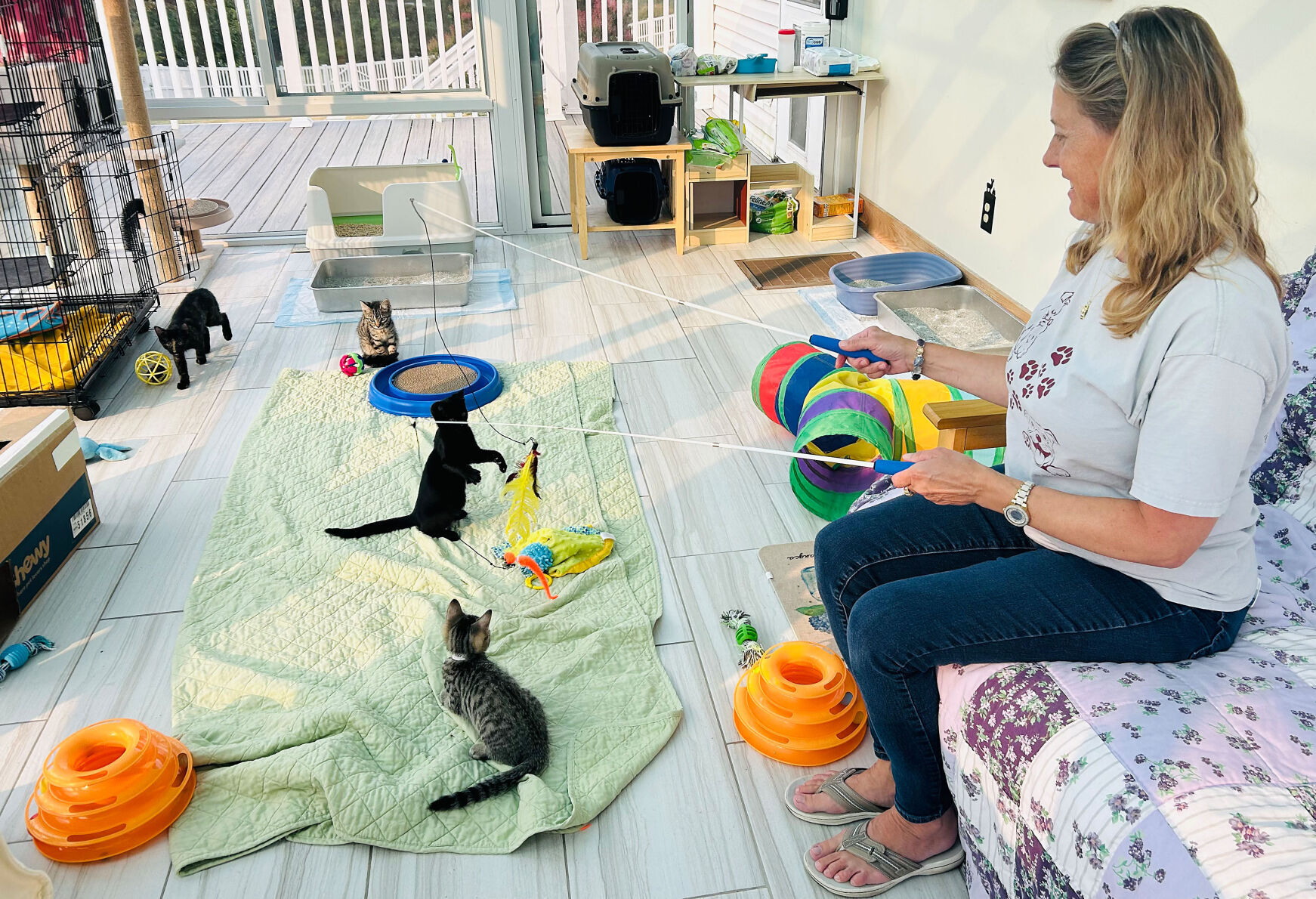 Humane Society of Shenandoah County volunteers share the work of fostering cats, kittens