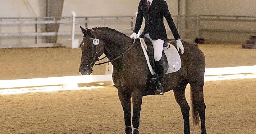 Chasing the dream: Strasburg teen aims for top of the equestrian world - Vimarsana News