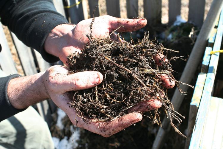 How to compost at home: Rich soil for gardening
