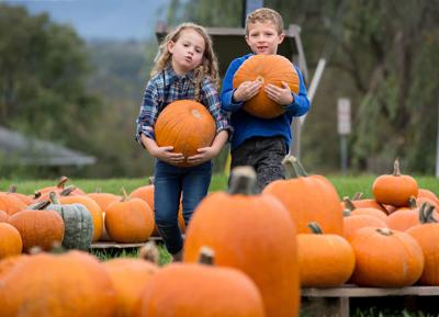 Pumpkin Patch Kids
