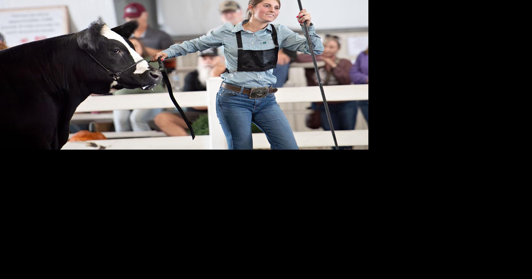 Shenandoah County Fair offers nine days of entertainment, competition and community
