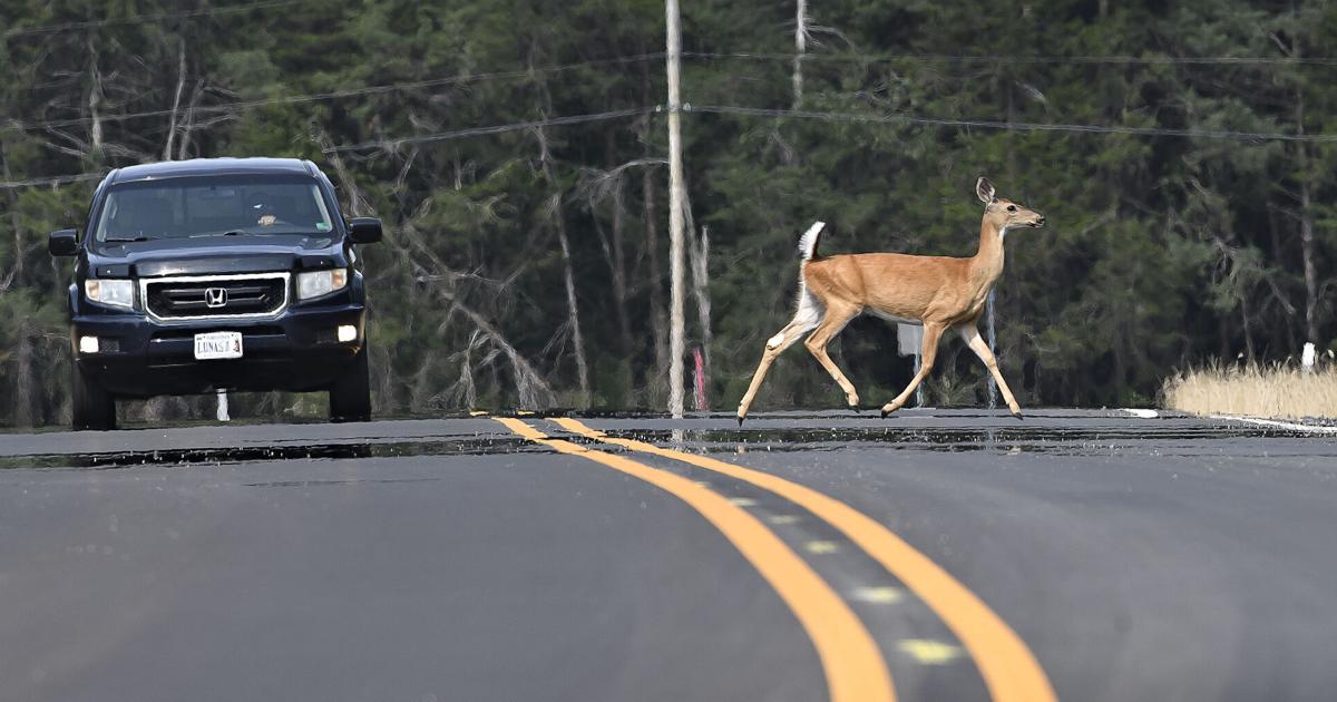 Borden Mowery Drive extension opens