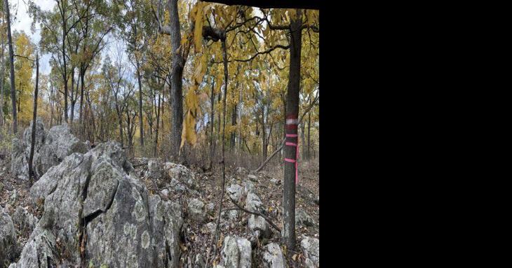 Take a quick quest to West Virginia’s Cacapon State Park to explore the ‘Top of Virginia’