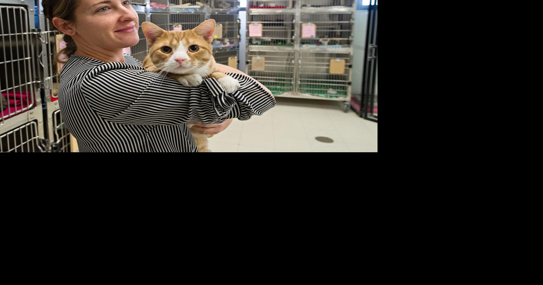 Humane Society director lands 'dream job' | Nvdaily | nvdaily.com