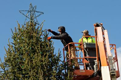 WILD CHRISTMAS LIGHTS