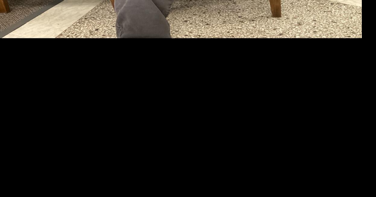 Lyon County engineer weary of FEMA’s delays