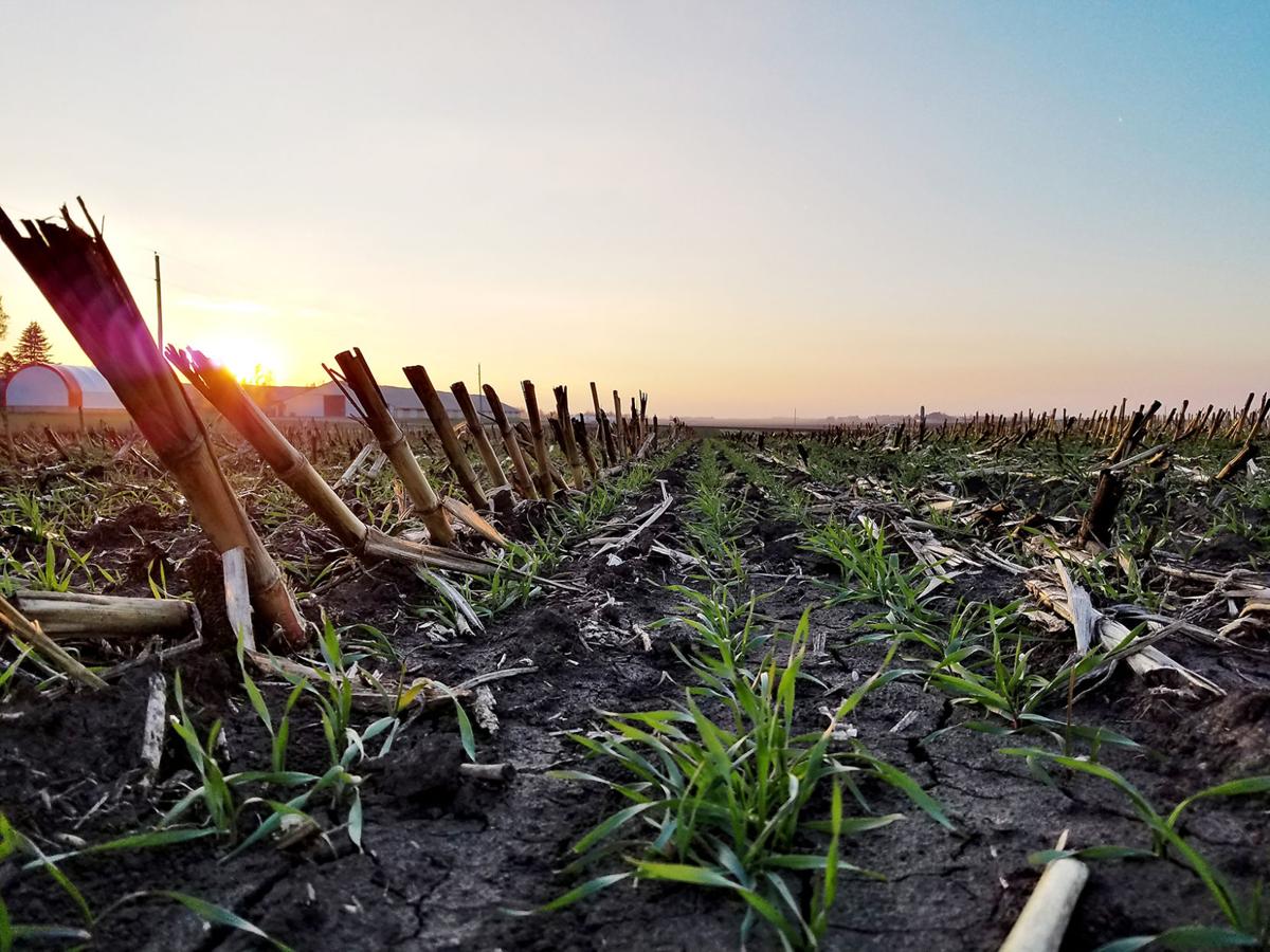 Farmers Cooperative Society earns Iowa Ag Leader Award News