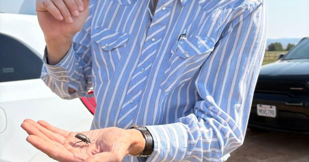 Entomologist Ryan Smid returns to Kingsley roots