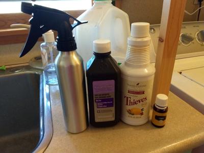 Take 5 Tips To Rid Your Home Of Mold Take5 Nwestiowa Four Ings To Remove Mold