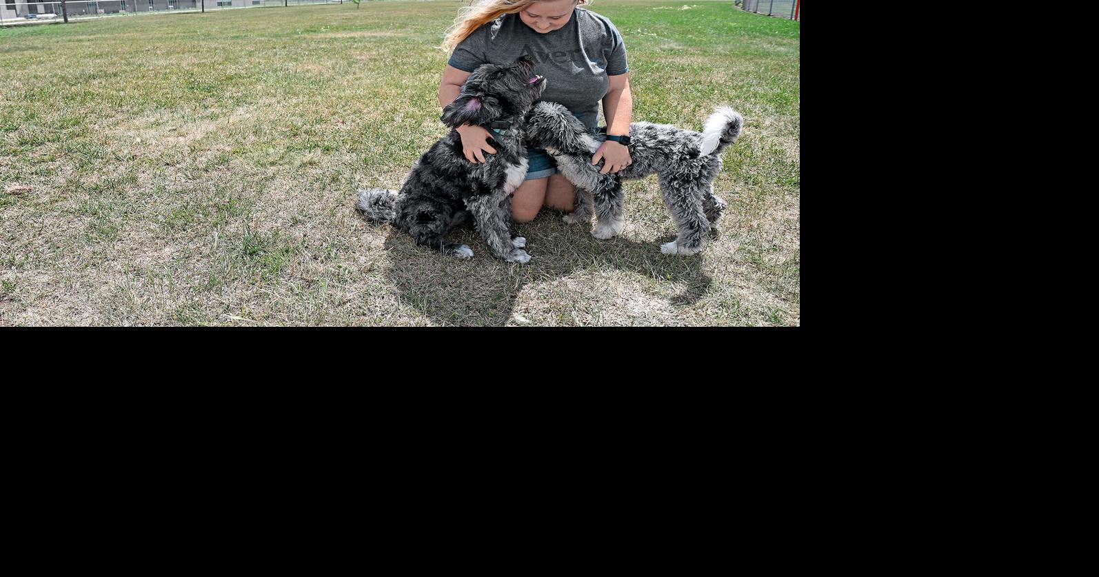 Sioux Center opens dog park Sioux Center News