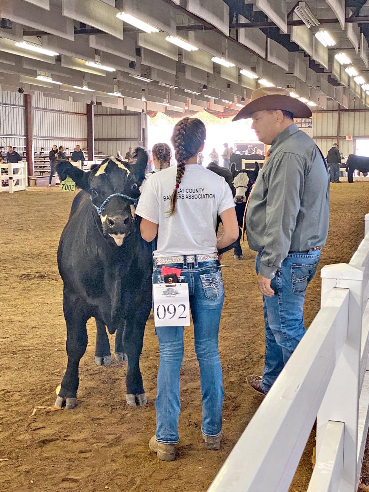 Clay County Missouri Fair Attendance 2022