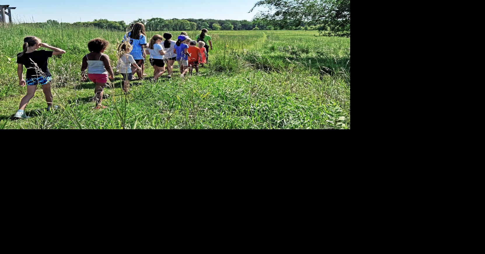 Dive into nature this summer