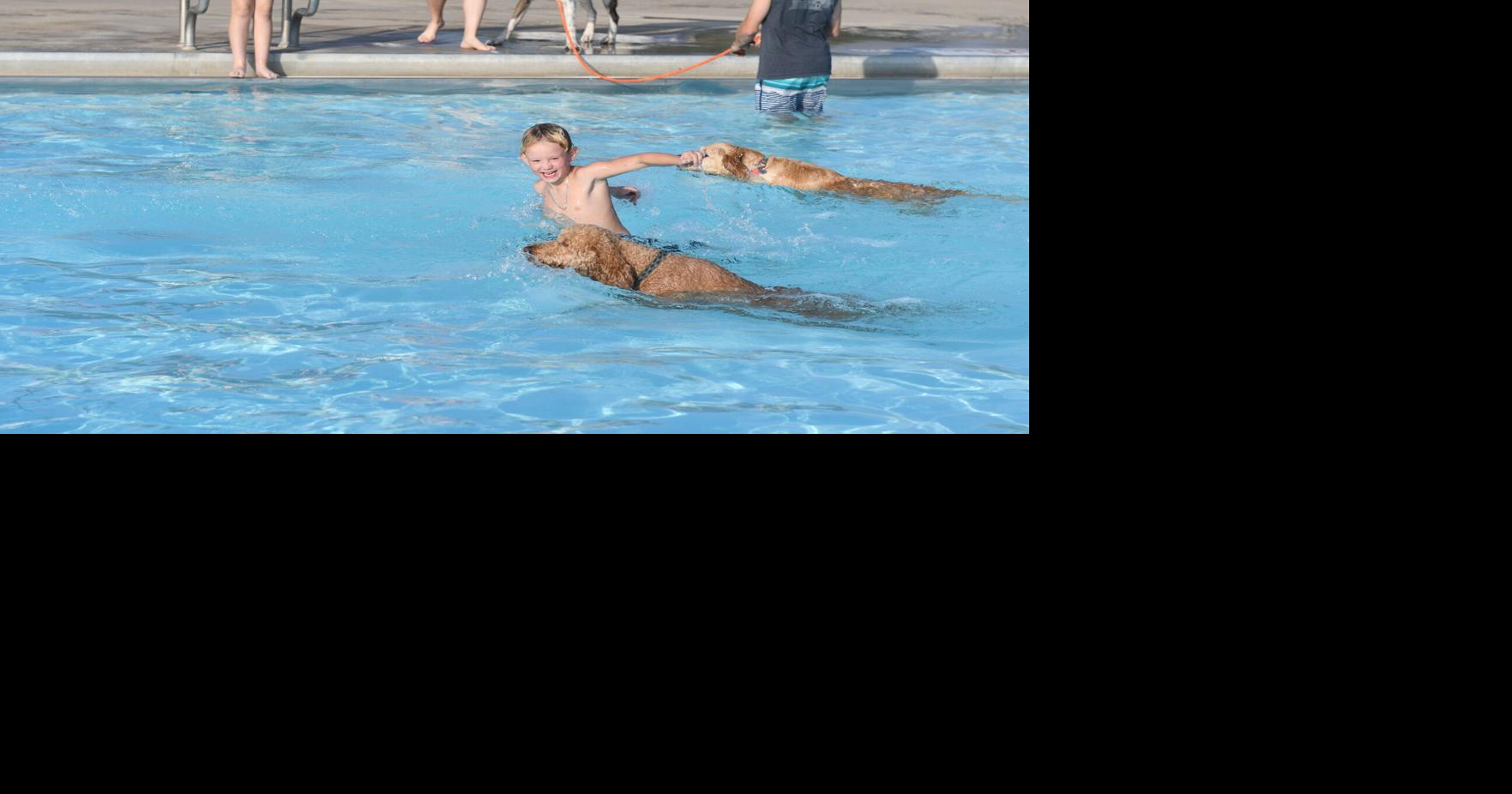 Orange City dog swim | News