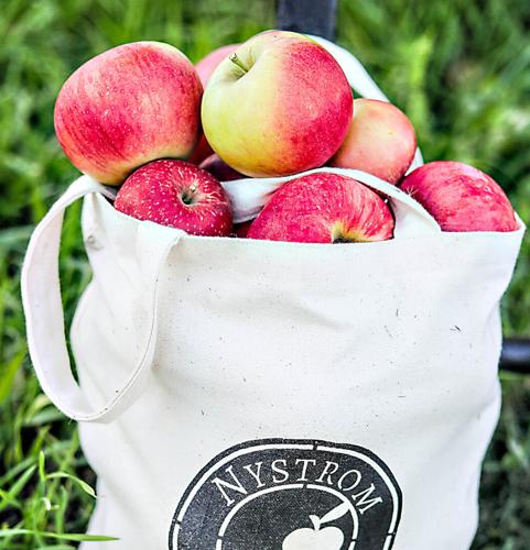 nystrom orchard 101621 0098 WEB