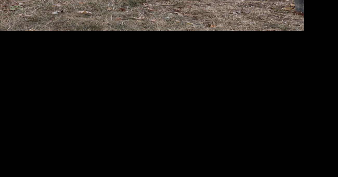 Sioux Center approves Second Avenue Southeast sidewalk Sioux Center