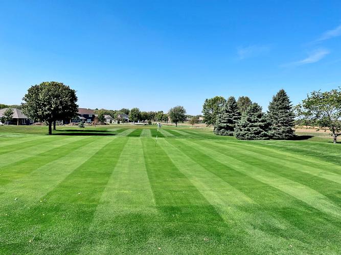 Labor of Love Discover