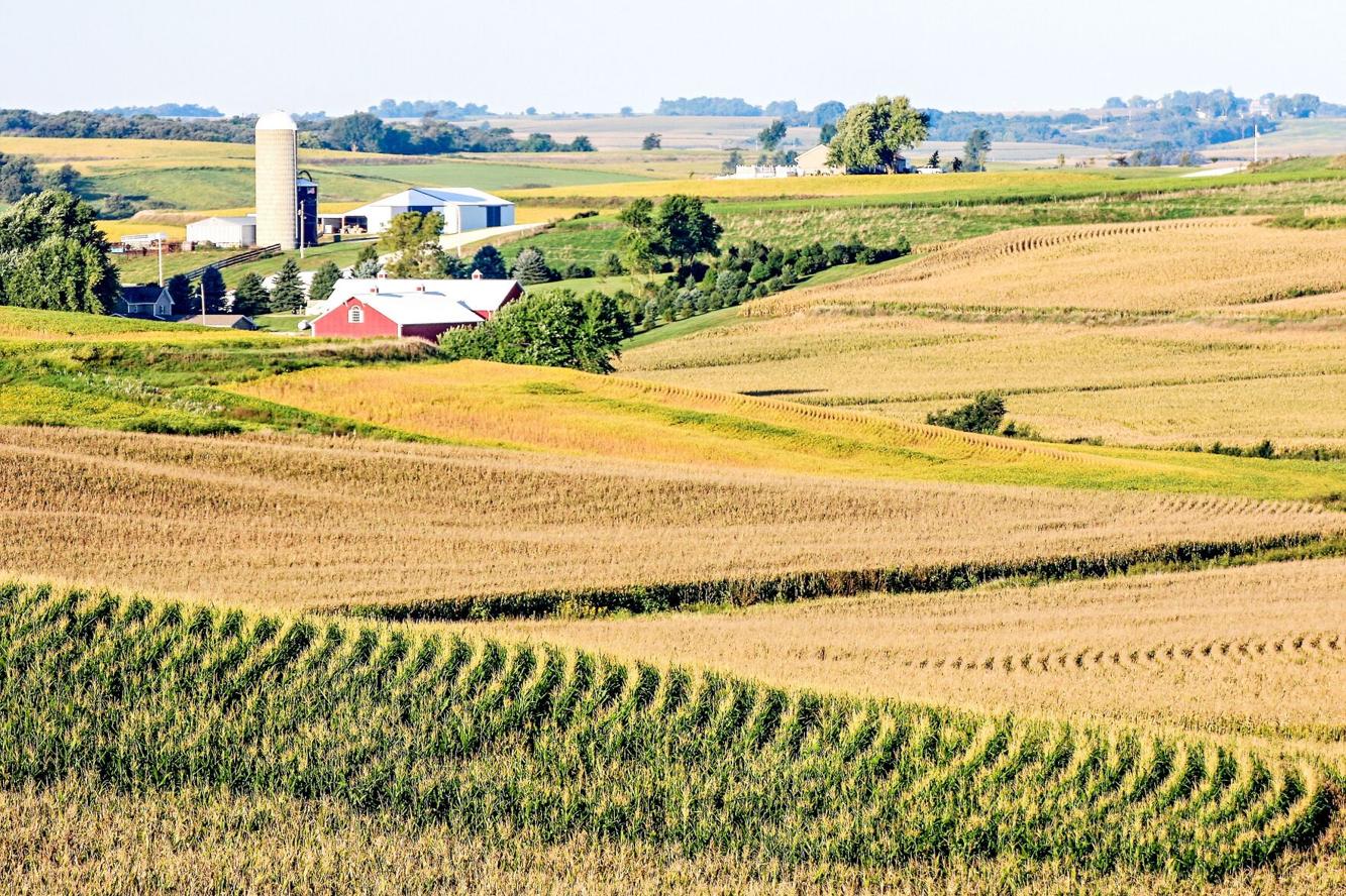 Iowa farmland values at alltime high News