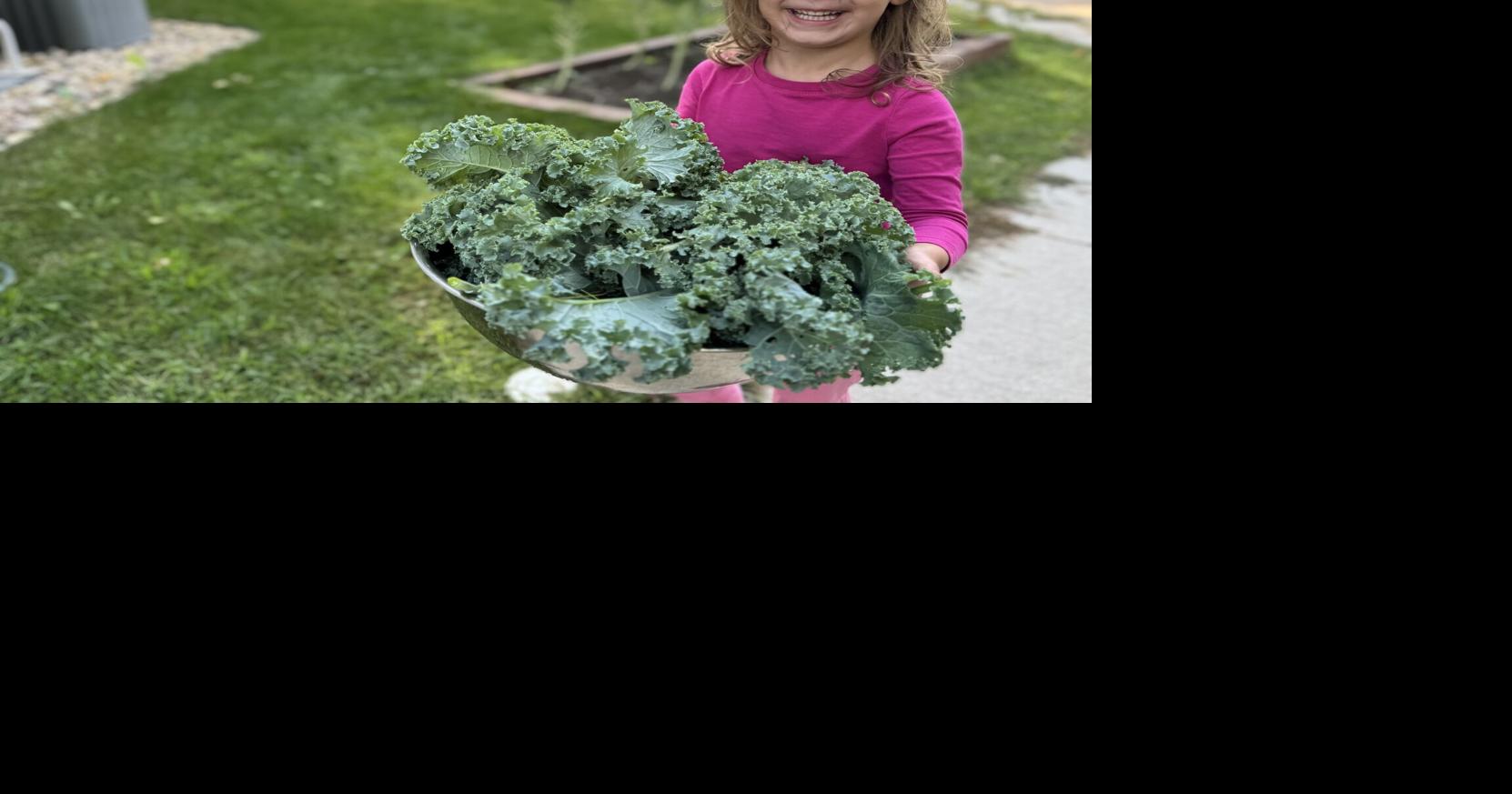 Let's Cook: Let's pretend it's the late 2000s and eat kale