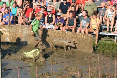 Sioux County Youth Fair To Return Sioux Center News Nwestiowa Com