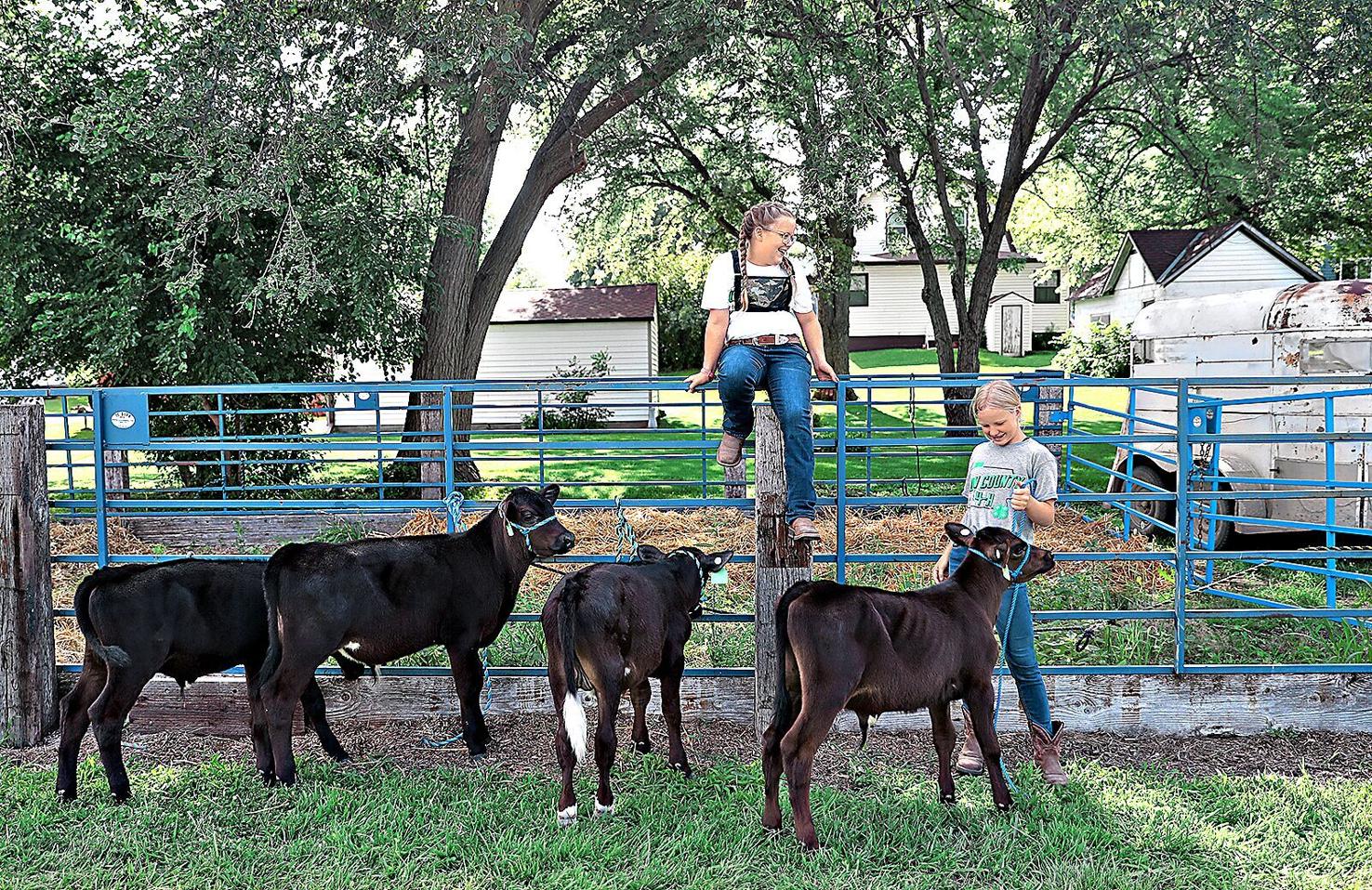 Lyon fair wins award, secures funding News