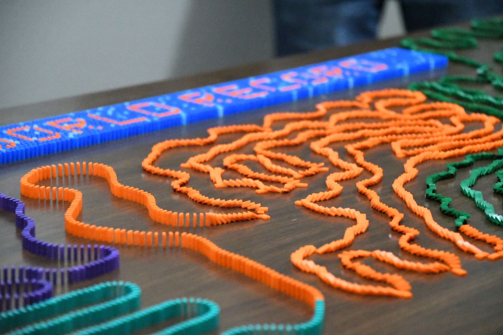 Koops twins toppling a domino world record | Sioux Center News