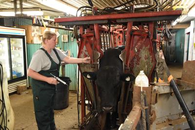 Sioux Center Vet Clinic Has New Owner Sioux Center News Nwestiowa Com