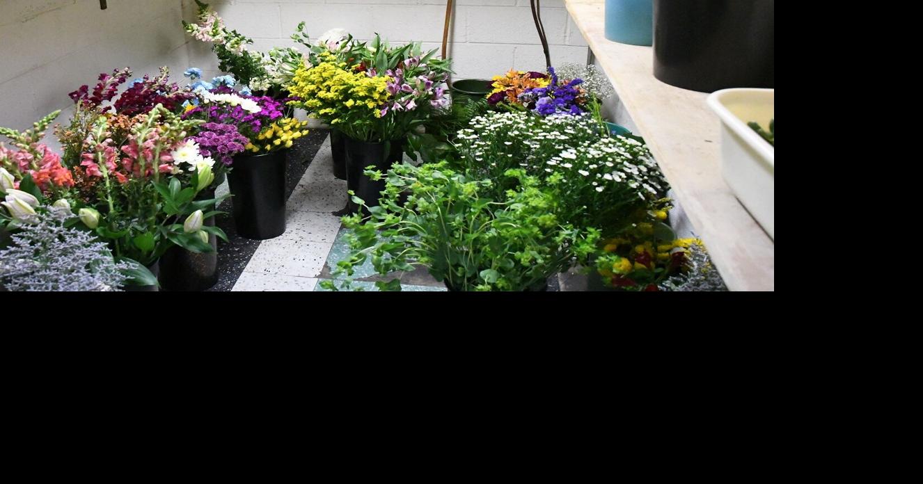 Sibley greenhouse gets new managers News