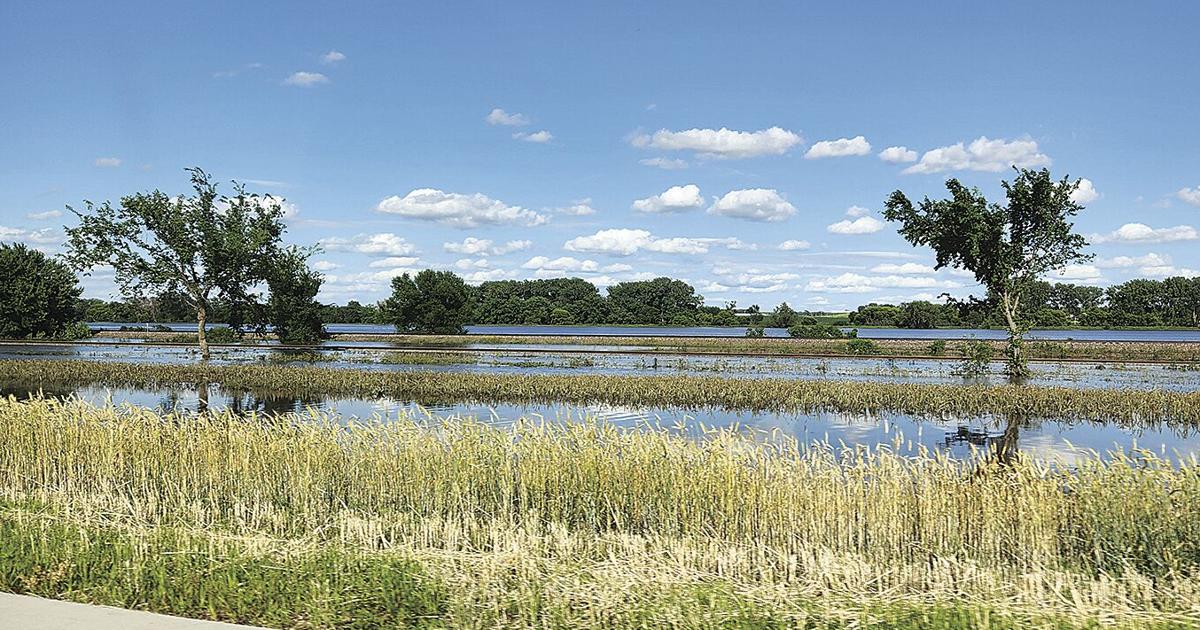 Sentinel Ia Rainfall totals well above average this spring | Sentinel | nwestiowa.com