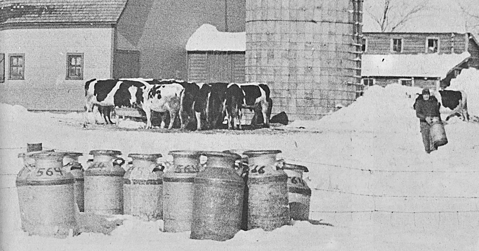 50 years since the "Blizzard of the Century" struck N'West Iowa | News ...