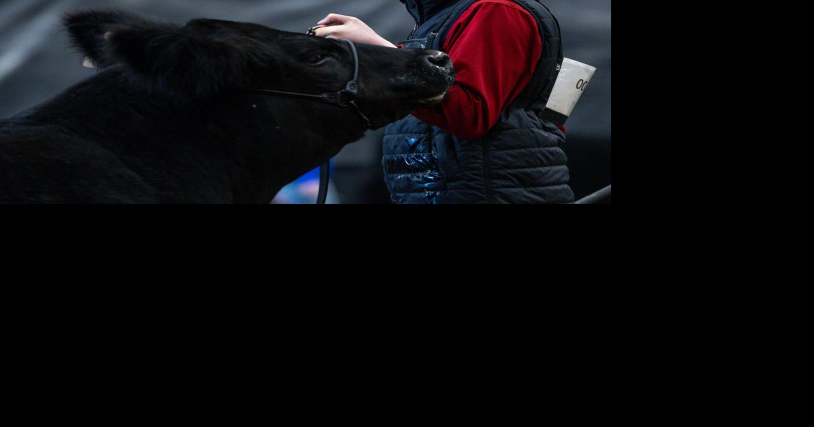 LOCAL YOUTH SELECTED FOR THE 2026 GOVERNOR'S CHARITY STEER SHOW