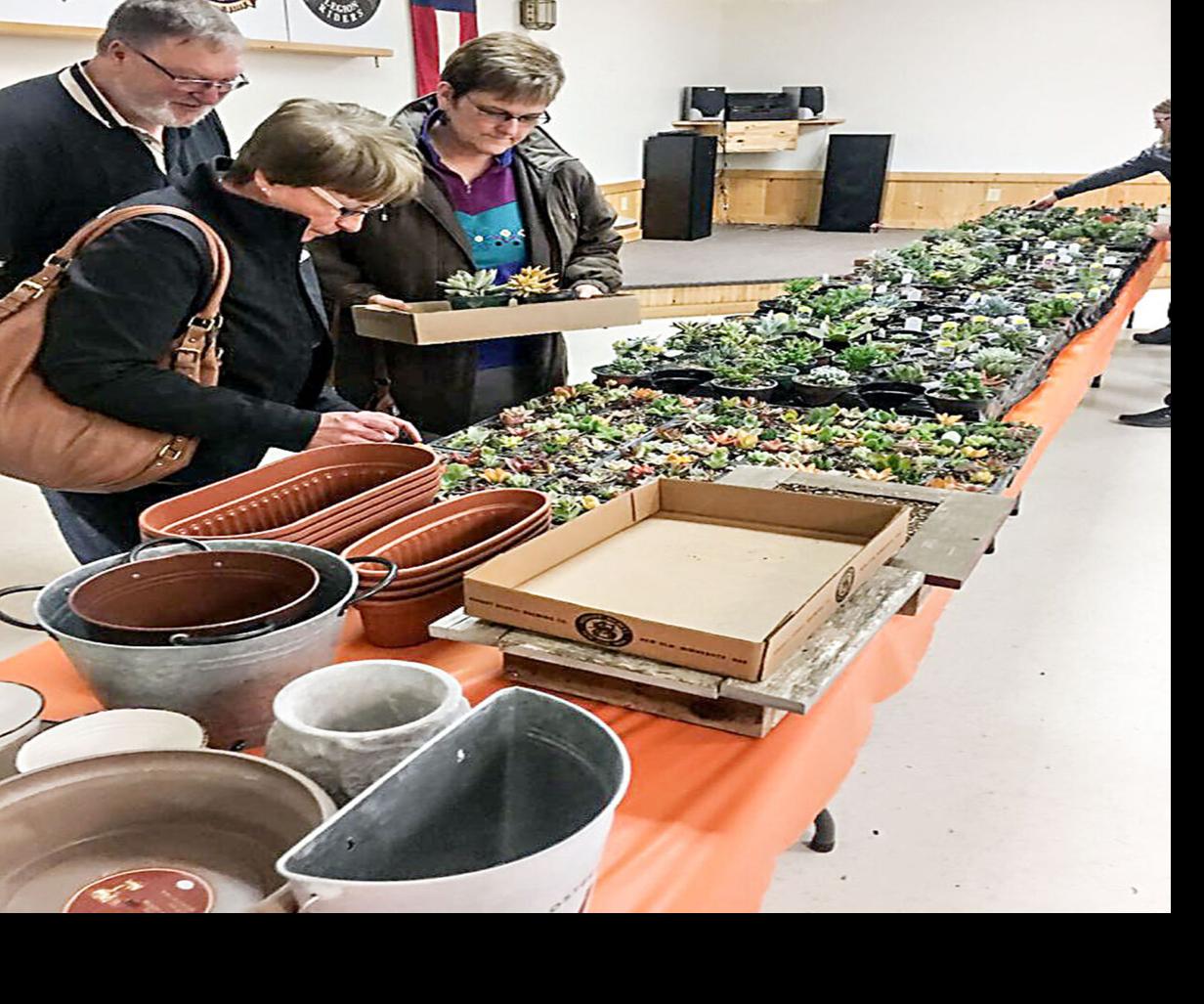 Sip and Plant Discover