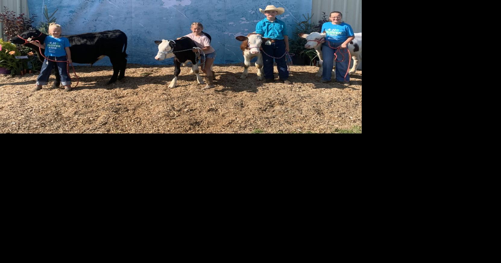 Clover Kids raise bottle calves through Dordt partnership