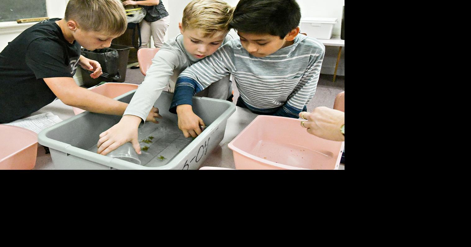 FOSS Kits offer lesson on life cycle