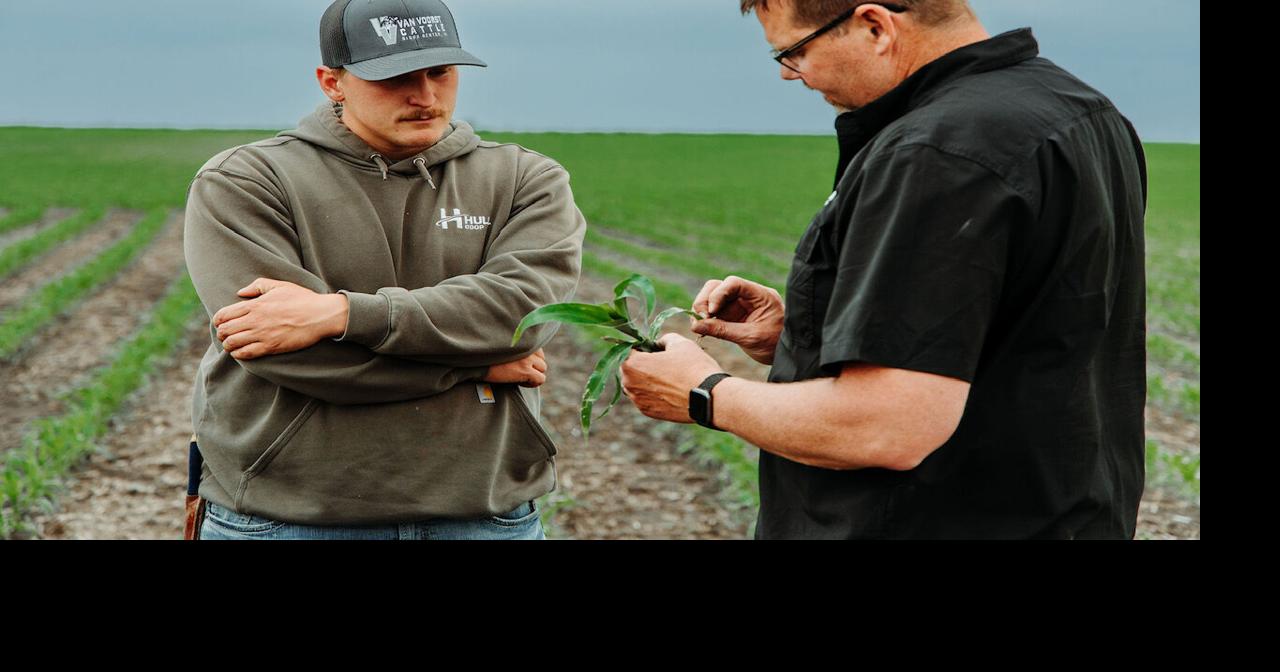 Hull Co-op agronomy team has developed mutual trust with farmers