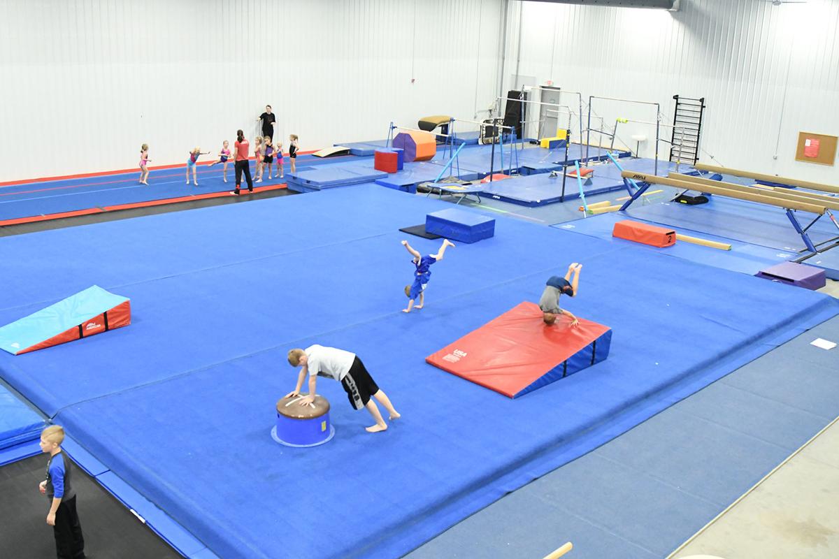 Home - Tumble Gymnastics and Activity Centre