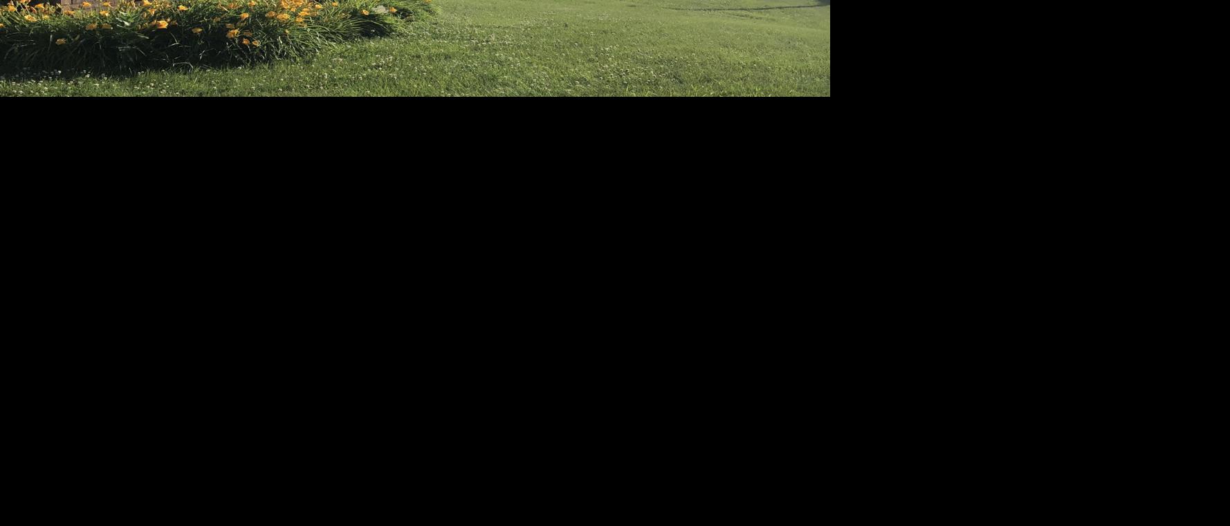 Hawarden Fire responds to nursing home Hawarden Independent/Ireton