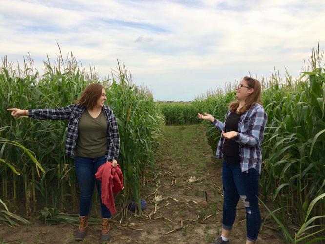 Apples and More Apples Discover