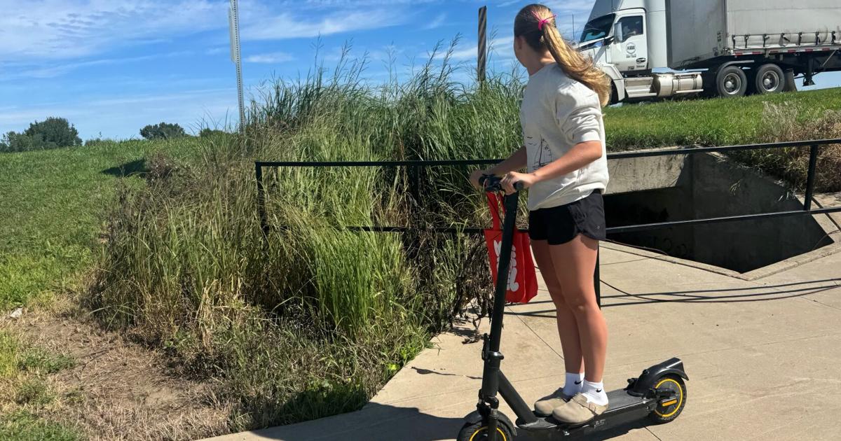 Should the state step in to regulate electric scooters and bikes?