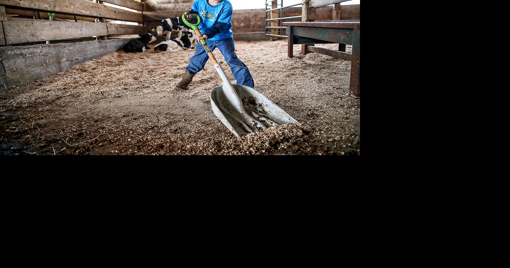 Larchwood farm known for dairy products News