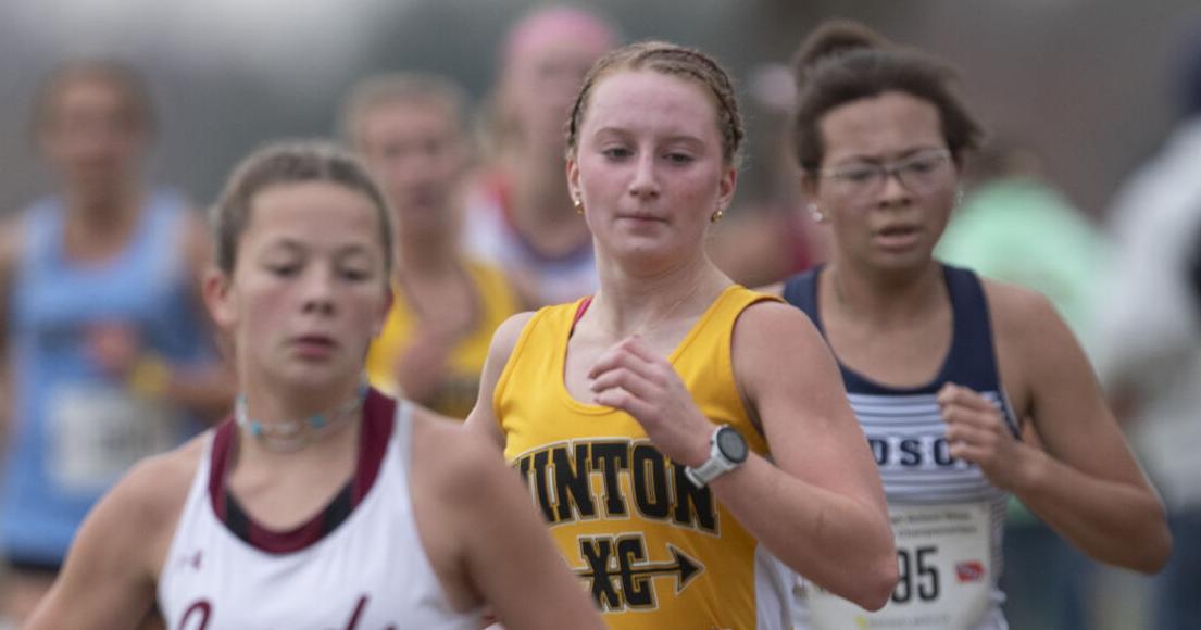 Local runners take the course at state cross country meet | Sentinel ...