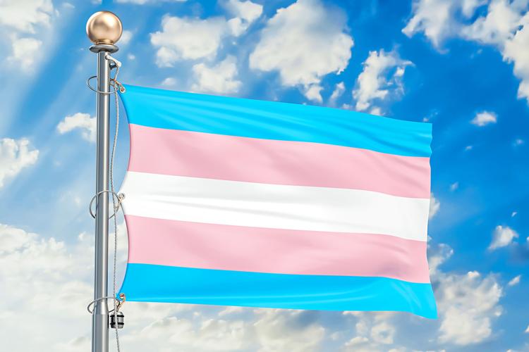 Transgender flag
