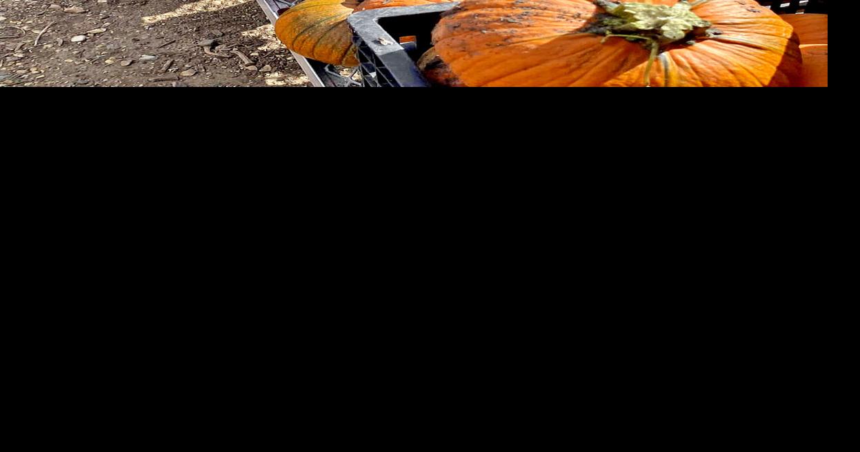 Grandpa's Fun Farm in Worthington offers something for the whole family