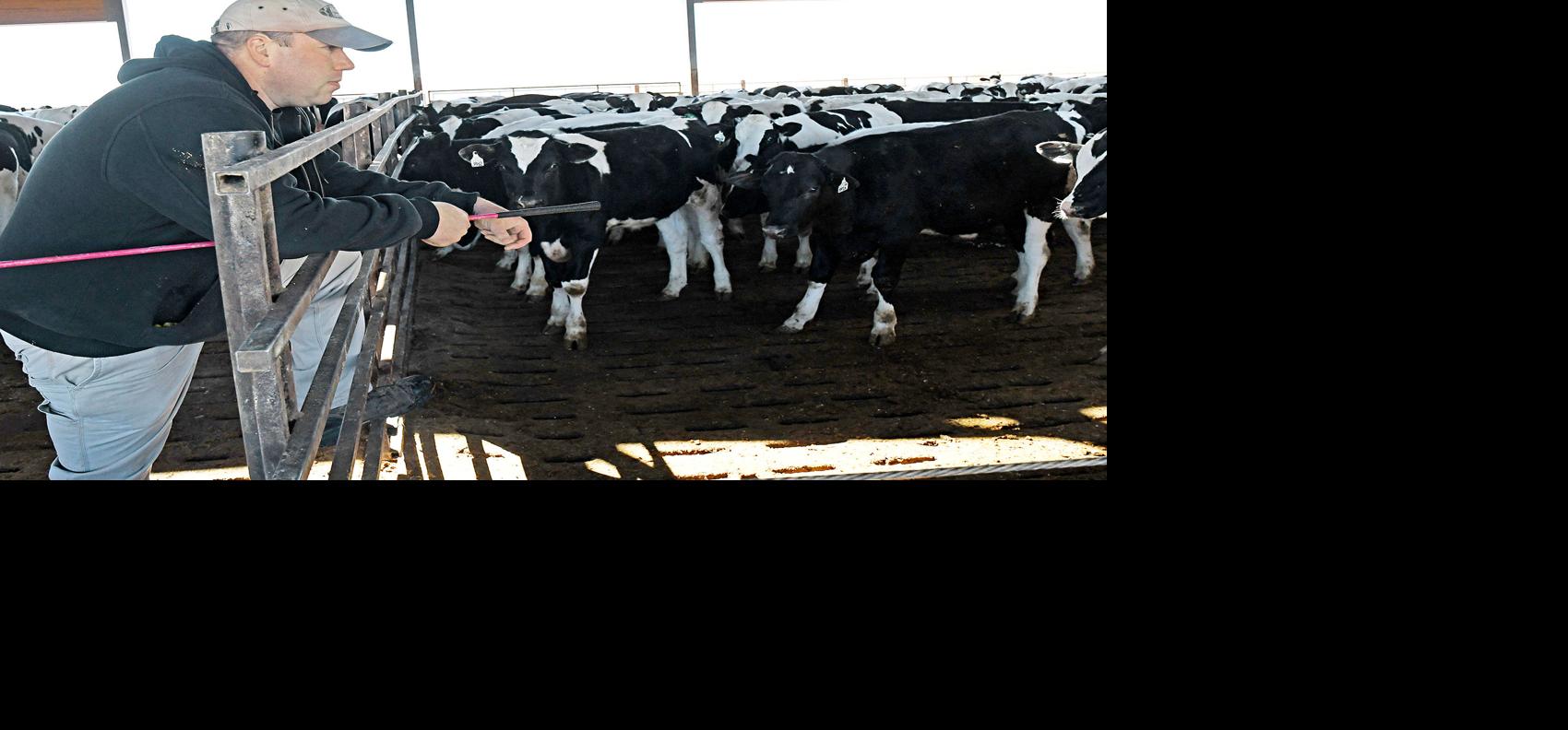 Coronavirus Affects Iowa Beef Industry News Nwestiowa Com