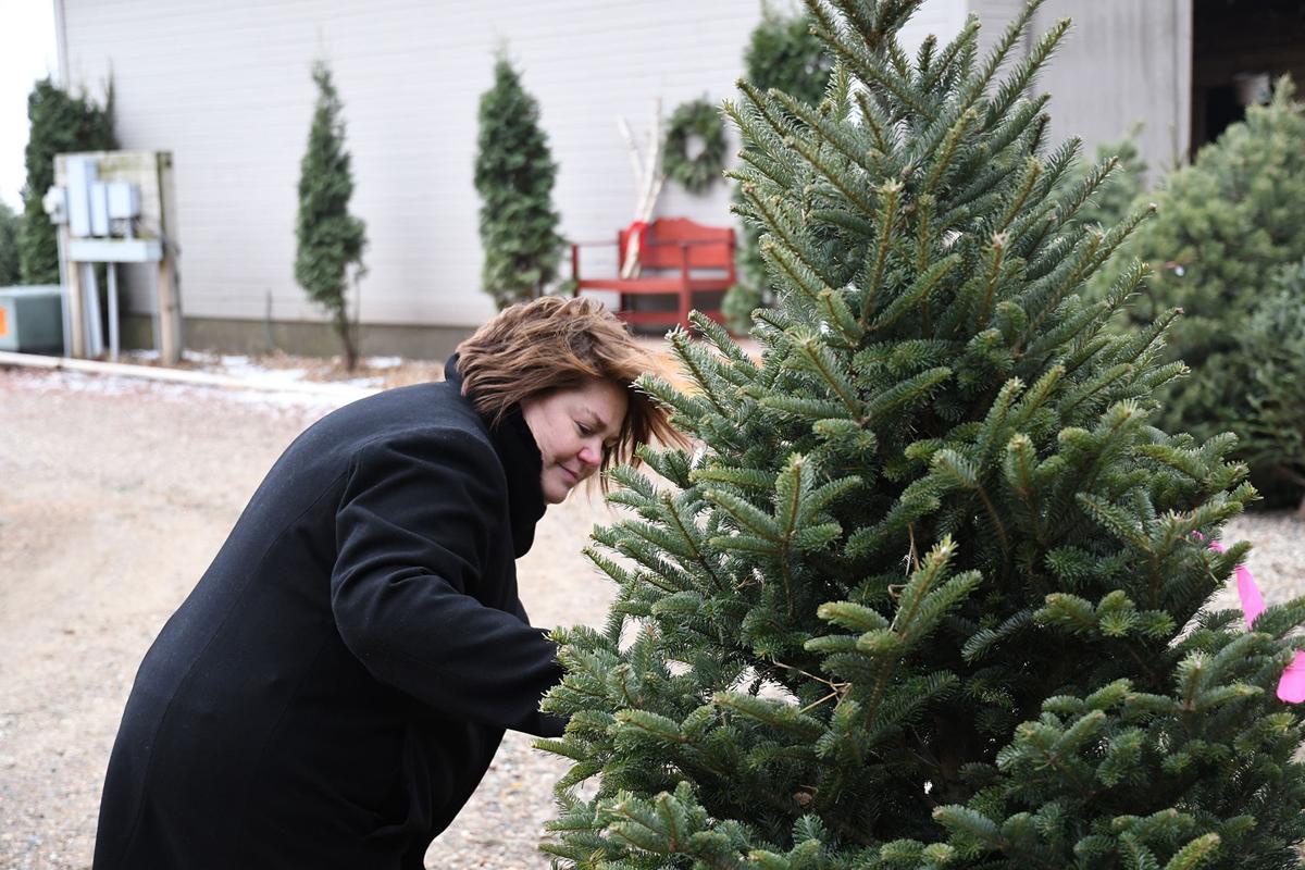 Rural Sheldon Christmas Tree Farm Opens News Nwestiowa Com