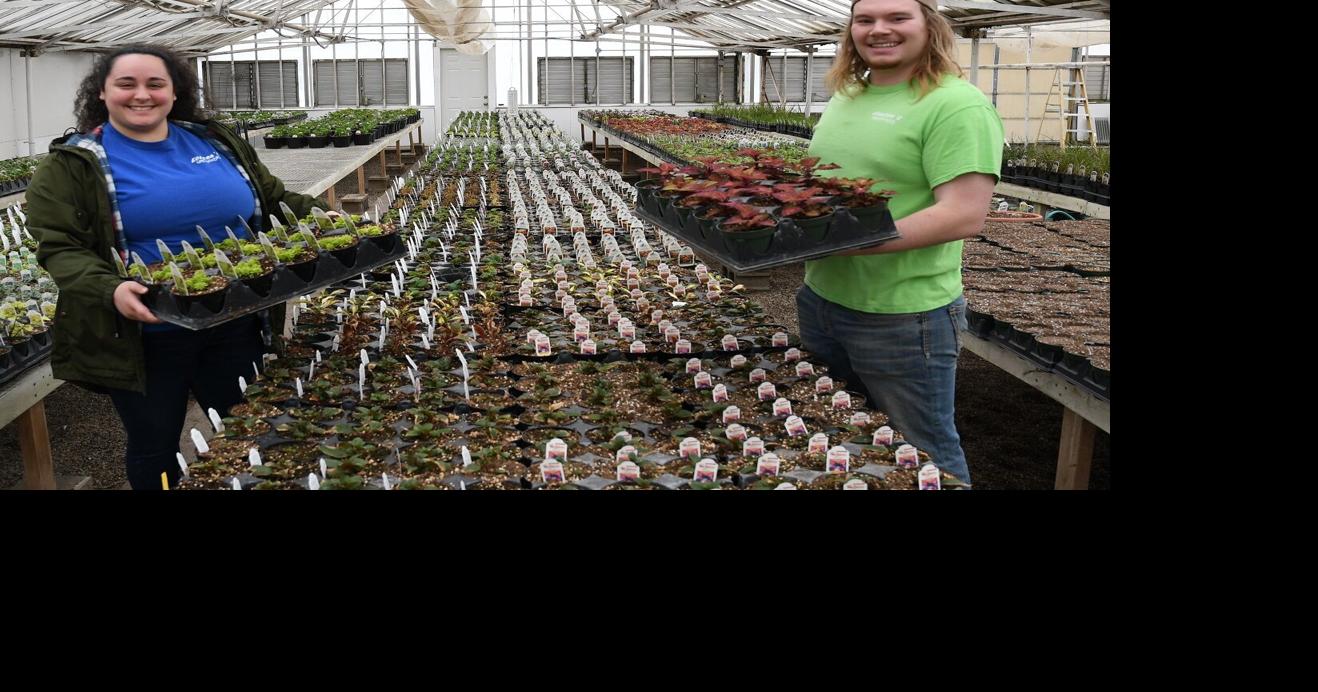 Sibley greenhouse gets new managers News