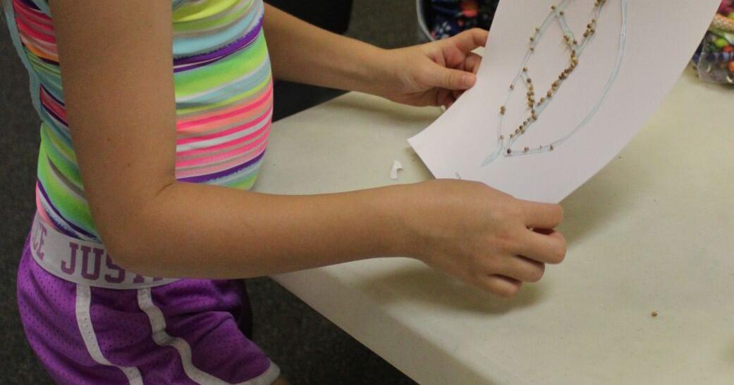 Siouxland Ag in the Classroom gives seed lessons
