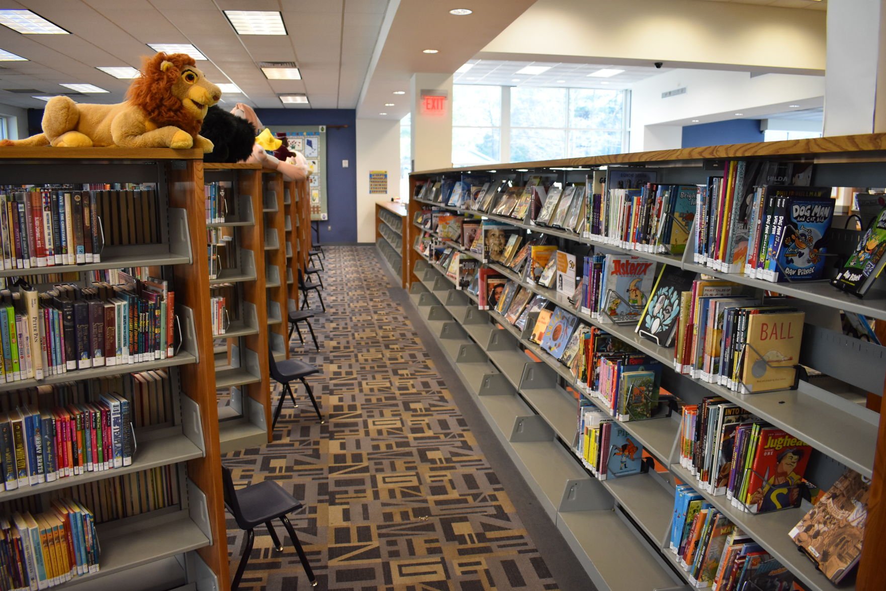 Auburn Public Library Seeks Donations For Book Drive