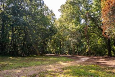 Weed Treatment at Auburn Parks and Recreation Sites Begins Sept. 22